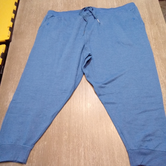 Woman Within Pants - Woman Within Size 26/28 Petite Blue Jogger Pants Z 52
